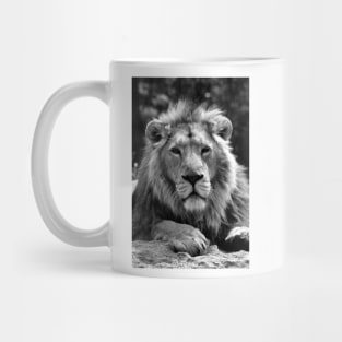 Asiatic Lion Panthera Leo Persica Big Cat Male Mug